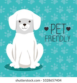 dog bred pet friendly