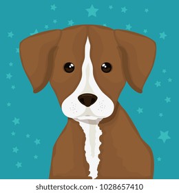 dog bred pet friendly