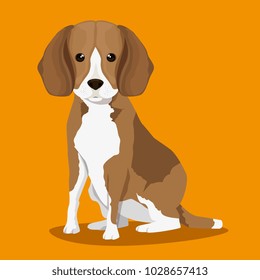 dog bred pet friendly
