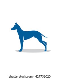 Dog Breed