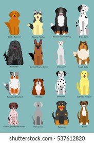 dog breed