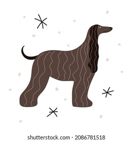 Dog breed Afghan Hound. Vector illustration of a vintage pet