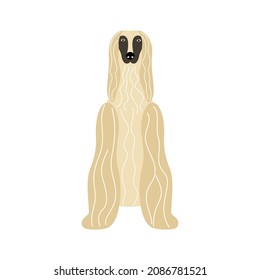 Dog breed Afghan Hound. Vector illustration of a vintage pet
