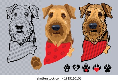 Dog breed Airedale terrier with bandana. Colorful and linear. Vector.