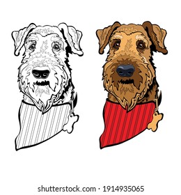 Dog breed Airedale terrier. The head of the dog breed Airedale terrier with Dog collar and red bandana. Pet head isolated on white. Colorful and linear portrait. Animal domestic. Vector.