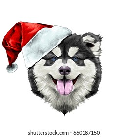 dog breed Alaskan Malamute puppy with his tongue hanging out, head in a Santa hat on the side symmetry looks right sketch vector graphics color picture