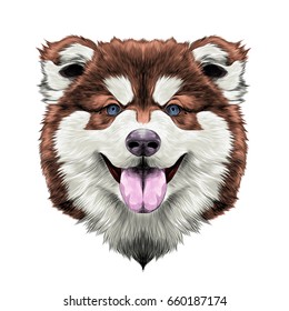 dog breed Alaskan Malamute puppy with his tongue hanging out, head looking right symmetry sketch vector graphics color picture