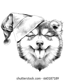 dog breed Alaskan Malamute puppy with his tongue hanging out, head in a Santa hat on the side symmetry looks right sketch vector graphics black and white drawing