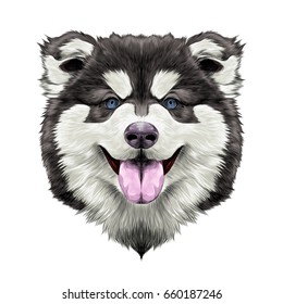 Dog Breed Alaskan Malamute Puppy With His Tongue Hanging Out, Head Looking Right Symmetry Sketch Vector Graphics Color Picture