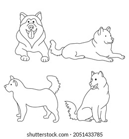 Dog breed Alaskan Malamute, Set of outline contours of dogs in various poses vector illustration
