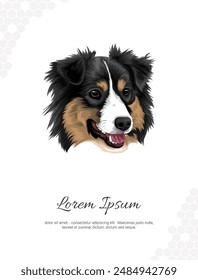 Dog Breed Australian Shepherd Vector wall decoration ideas. realistic animal images. Hand drawn dog isolated on light gray background. for room decoration, events, etc