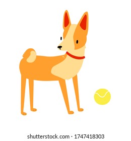 Dog breed basenje vector illustration