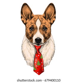 the dog breed Basenji head with a Christmas tie sketch vector graphics color picture