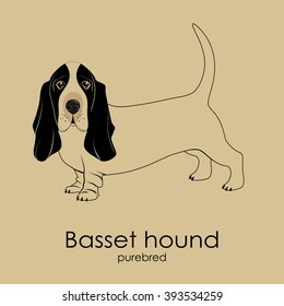 Dog Breed Basset Hound On A Beige Background