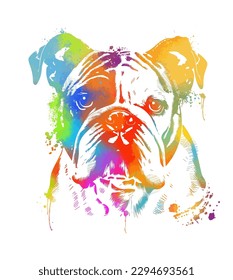 Dog breed Boston Terrier. Sketch, drawn, color portrait of a Boston Terrier puppy on a white background in watercolor style. Vector illustration