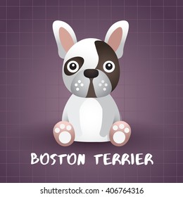 Dog Breed : Boston Terrier : Vector Illustration