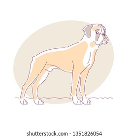 Dog breed boxer. Pet. Dog. Hand drawn style vector doodle design illustrations.