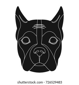 A dog, a breed of boxer.Muzzle of a boxer single icon in black style vector symbol stock illustration web.