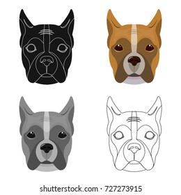 A dog, a breed of boxer.Muzzle of a boxer single icon in cartoon style vector symbol stock illustration web.