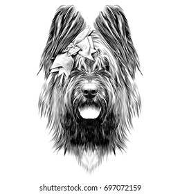 dog breed Briard sketch vector graphics monochrome black and white with bow