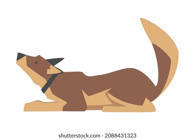 Dog Breed with Brown Coat and Collar on Neck Sitting Vector Illustration