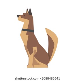 Dog Breed with Brown Coat and Collar on Neck Sitting Vector Illustration