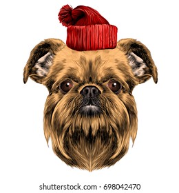 dog breed Brussels Griffon vector graphics colored sketch with hat new year holiday