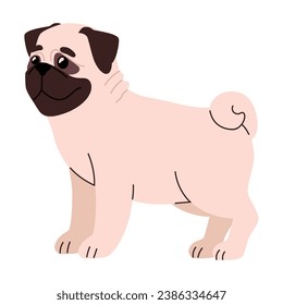 dog breed bulldog illustration design