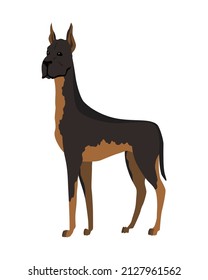 Dog breed. Cartoon domestic pet character flat vector illustration. Human friend home animal