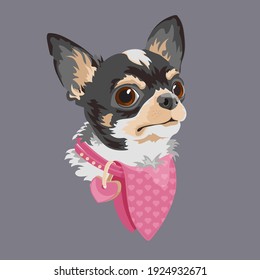 Dog breed Chihuahua. Funny cartoon character. Animal domestic.