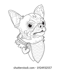 Dog breed Chihuahua. Funny linear cartoon character. Animal domestic. Vector.