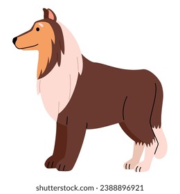 dog breed collie illustration design