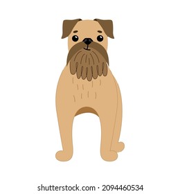 Dog breed cute Griffon Brussels brown. Vector illustration of pet animal