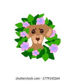 Dog breed Dachshund in a beautiful frame with flowers and leaves