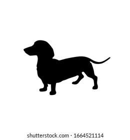 dog breed Dachshund icon silhouette long short small standing