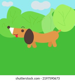 dog breed dachshund nature walk