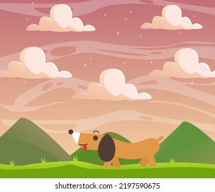 dog breed dachshund nature walk