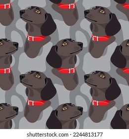 Dog breed Dachshund in red collars on a dark background. Seamless pattern, print, background. Vector illustration