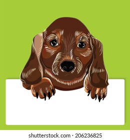 dog breed dachshund silhouette picture postcard white paper