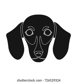 Dog, breed dachshund.Muzzle of the dachshund single icon in black style vector symbol stock illustration web.