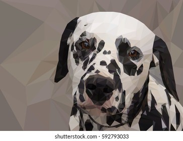 Dog breed Dalmatian