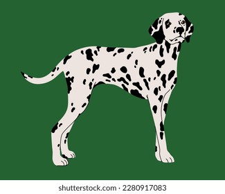 Dog breed Dalmatian vector flat illustration isolated on green background.