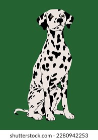 Dog breed Dalmatian vector flat illustration isolated on green background.