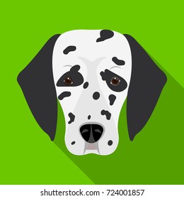 Dog breed, Dalmatian.Muzzle of a Dalmatian single icon in flat style vector symbol stock illustration web.