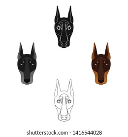 Dog breed, Doberman.Dobermann s muzzle single icon in cartoon,black style vector symbol stock illustration web.