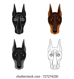 Dog breed, Doberman.Dobermann's muzzle single icon in cartoon style vector symbol stock illustration web.