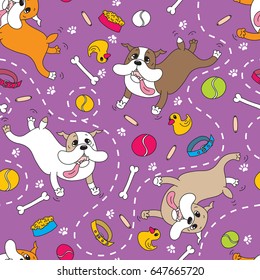Dog breed the English bulldog happily jumps and plays with various toys, a bowl of food, a bone, a collar, a ball, rubber duck, sausage, dog tracks, dotted, lilac background