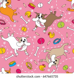 Dog breed the English bulldog happily jumps and plays with various toys, a bowl of food, a bone, a collar, a ball, rubber duck, sausage, dog tracks, dotted, pink background