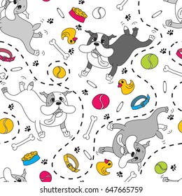 Dog breed the English bulldog happily jumps and plays with various toys, a bowl of food, a bone, a collar, a ball, rubber duck, sausage, dog tracks, dotted, white background