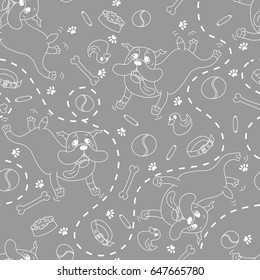 Dog breed the English bulldog happily jumps and plays with various toys, a bowl of food, a bone, a collar, a ball, rubber duck, sausage, dog tracks, dotted, grey background